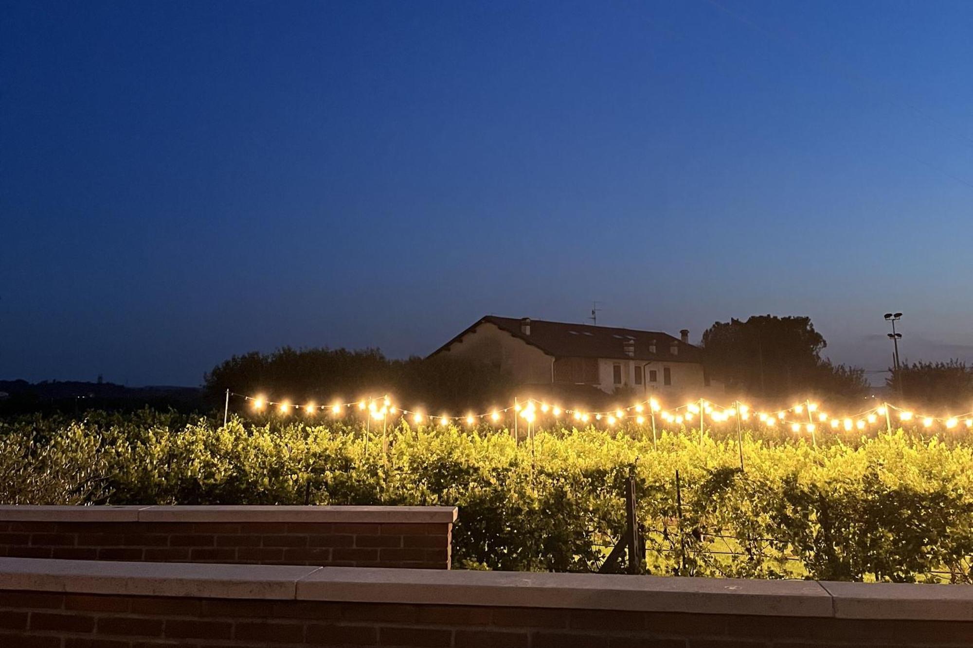 Agriturismo Almavite Desenzano del Garda Esterno foto